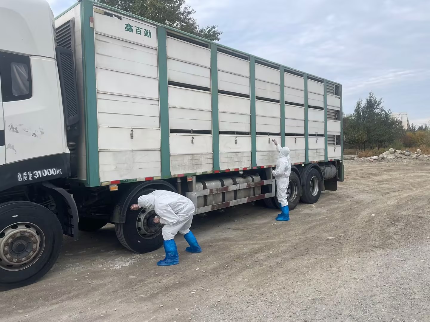 c1526aea-b897-4b13-acbe-54f8a0209c12 c1526aea-b897-4b13-acbe-54f8a0209c12